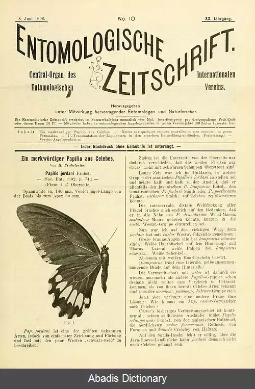 عکس دم پرستویی جردن