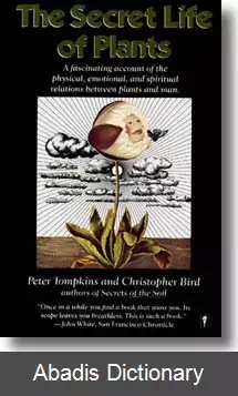 عکس زندگی مرموز گیاهان