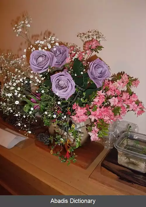 عکس رز آبی