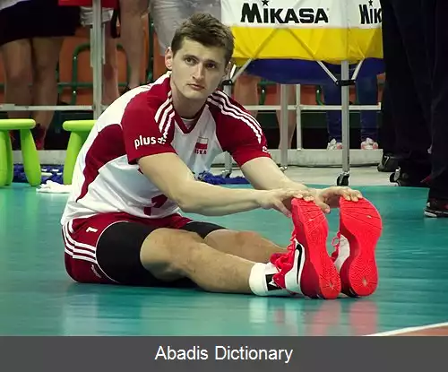 عکس پیوتر نواکوفسکی