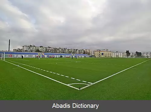 عکس ورزشگاه بینه