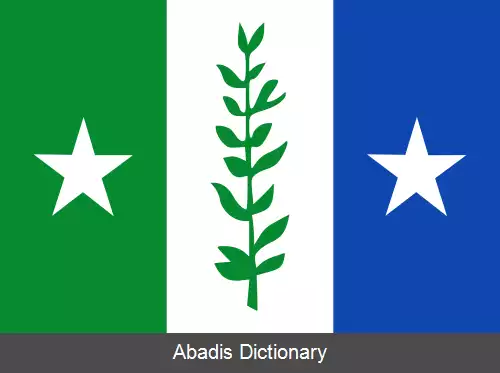 عکس زووین درخت (بلژیک)