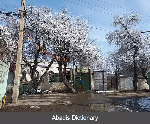 عکس کلاته برفی