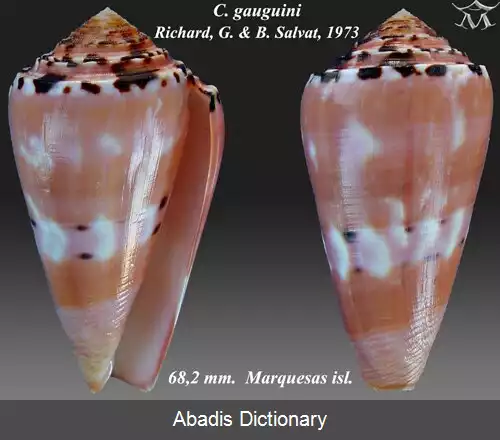 عکس قیفک گوگن