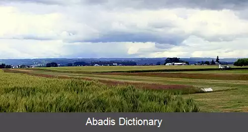 عکس فرودگاه اسکای پورت