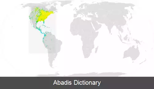 عکس باز بال پهن