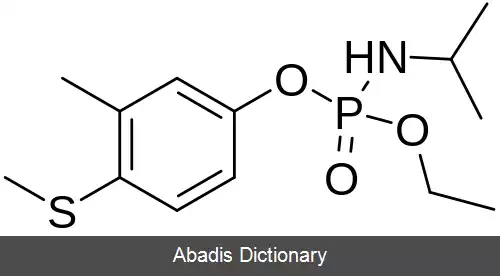 عکس فنامیفوس
