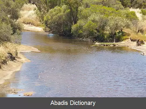 عکس دیل ریور