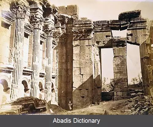 عکس فلیکس بونفیلز