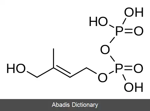 عکس (E) ۴ هیدروکسی ۳ متیل بوت ۲ انیل پیروفسفات