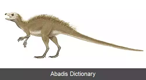 عکس فروتادندان