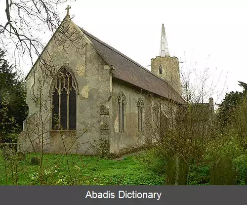 عکس استاکتون نورفک