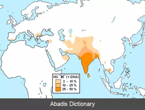 عکس تک گروه H (Y DNA)