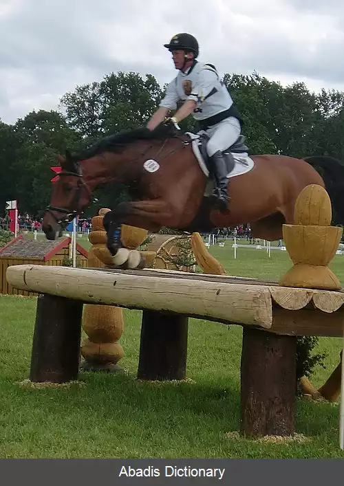 عکس پیتر تامسن