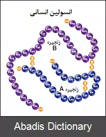 عکس زیست فناوری در حوزه تولید دارو