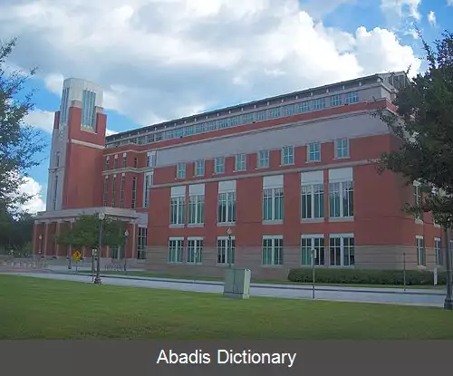 عکس کیسیمی فلوریدا