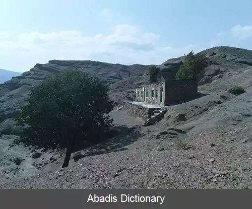 عکس دوجناب