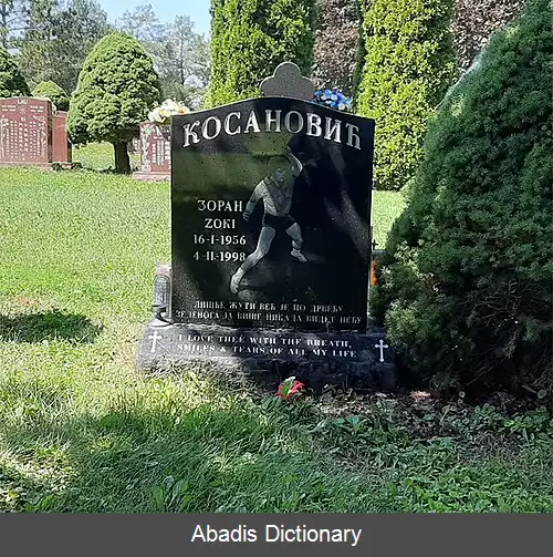 عکس زوان کوسانوویچ