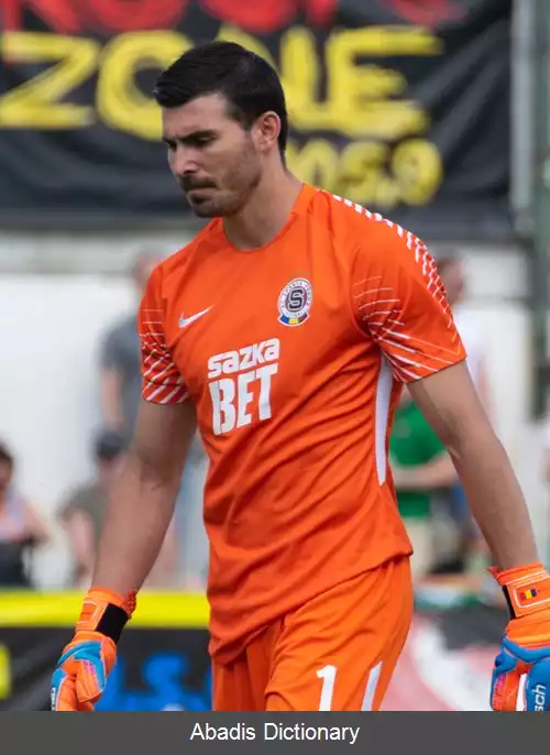 عکس فلورین نیتسا