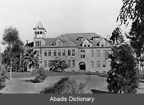 عکس کالج ویتیر