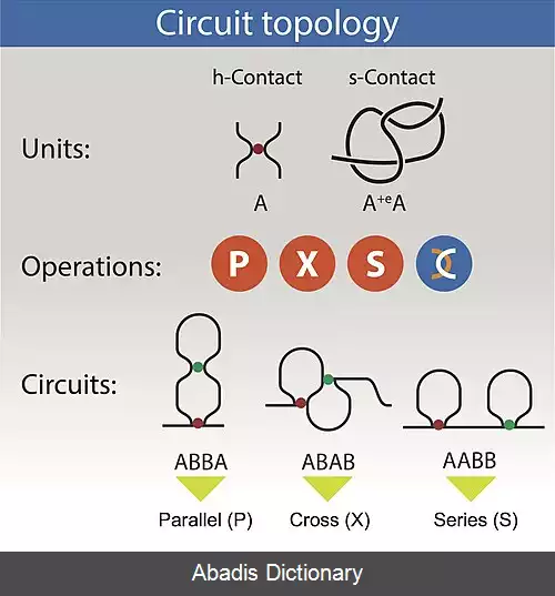 عکس پیکرشناسی مداری
