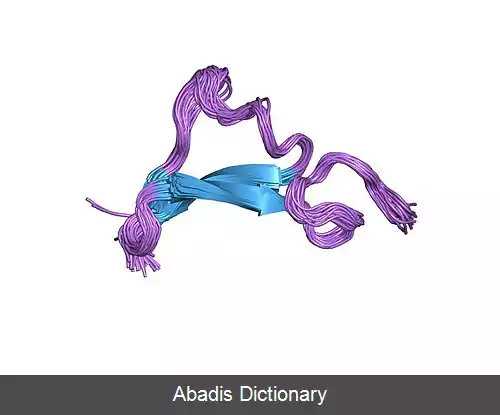 عکس اپی رگولین