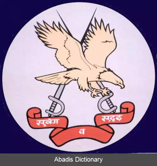 عکس فرودگاه جانسی