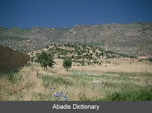 عکس استپ خاورمیانه