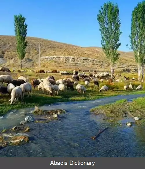 عکس کلوانس