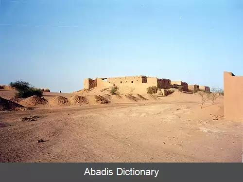 عکس بورم مالی