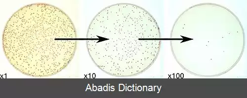 عکس رقت سازی پیاپی