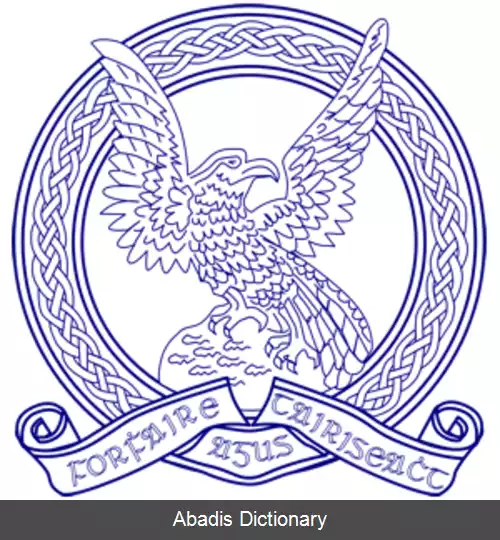 عکس فرودگاه کیسمنت