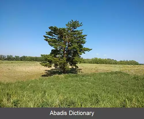 عکس استان آبای