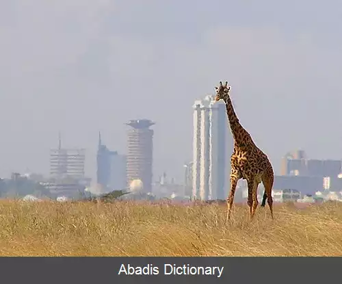 عکس پارک ملی نایروبی