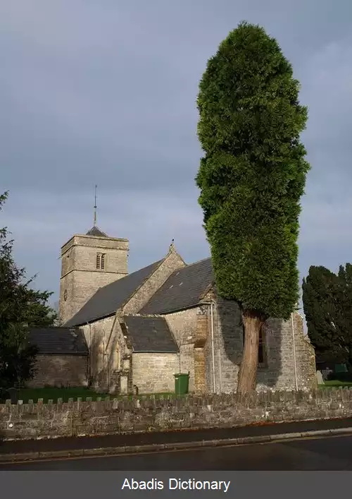 عکس استریت سامرست