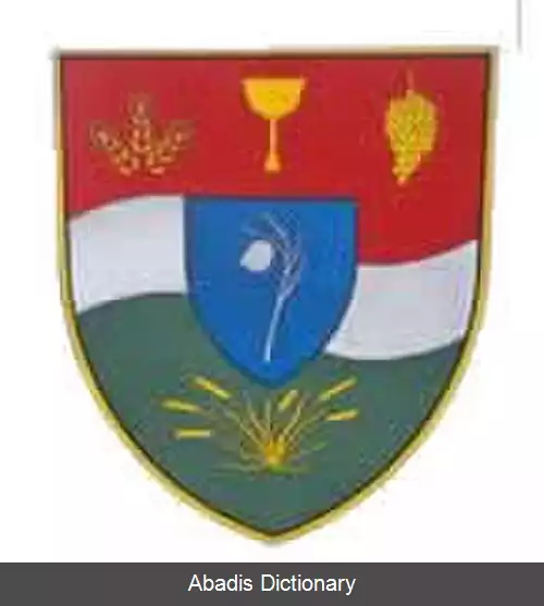 عکس دیکنیش
