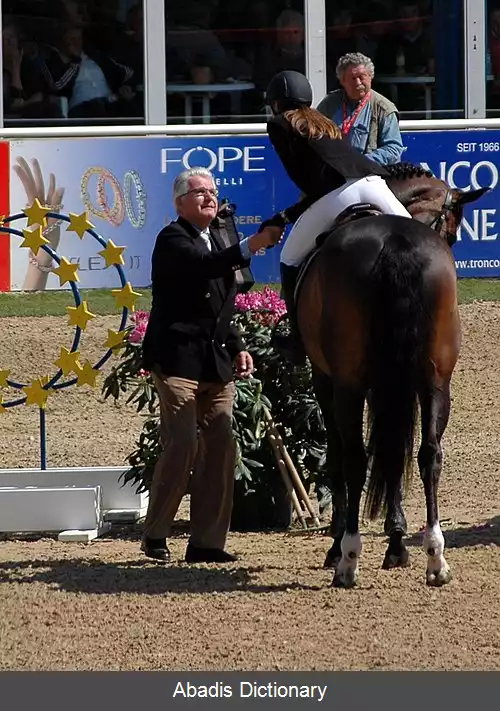 عکس زونکه زونکسن