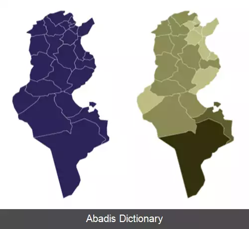 عکس همه پرسی قانون اساسی تونس ۲۰۲۲