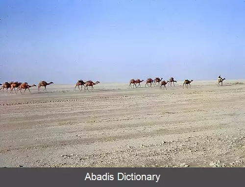 عکس بیابان ریگستان