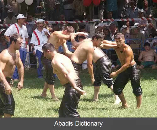 عکس کشتی روغنی