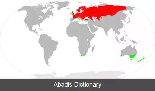 عکس لوتی اروپایی