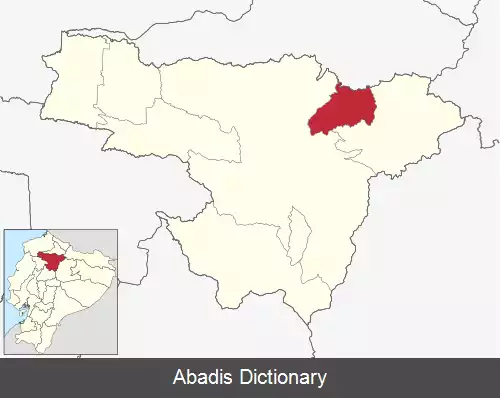 عکس کانتون پدرو مونکایو