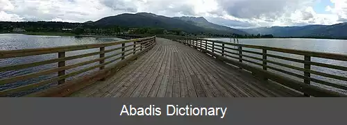 عکس سلمون آرم