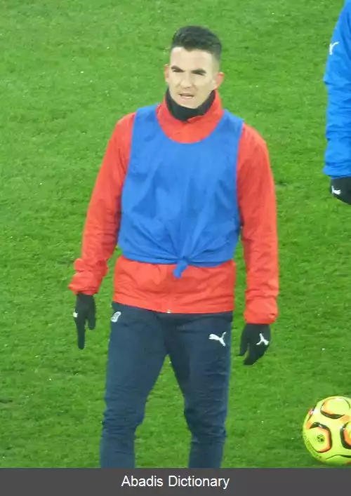 عکس استیو بیزنارد