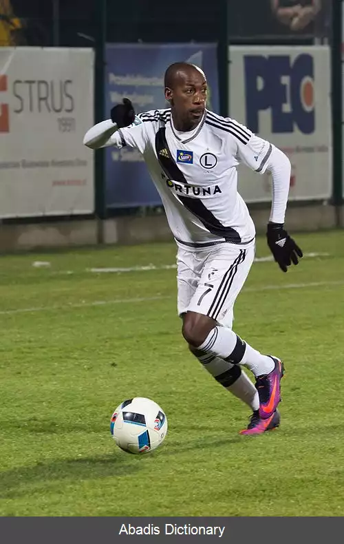 عکس استیو لنگیل