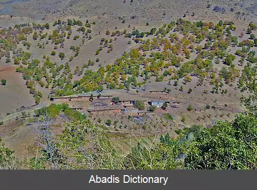 عکس دول شریخه