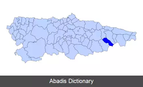 عکس آمیبا