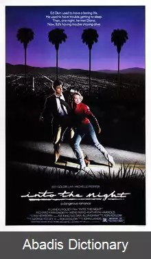 عکس در دل شب (فیلم ۱۹۸۵)