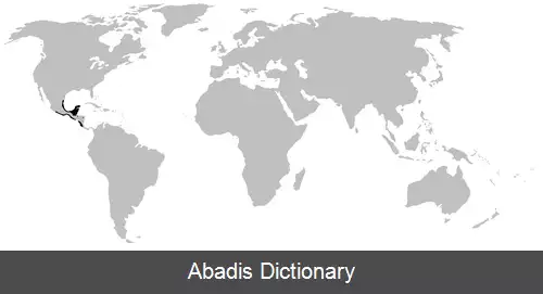 عکس وزغ حفار مکزیکی