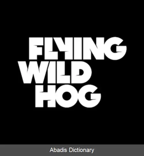 عکس فلائینگ وایلد هاگ